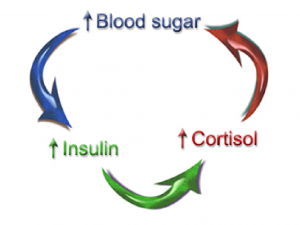 blood-sugar-cycle