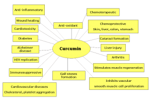 curcumin_health_conditions