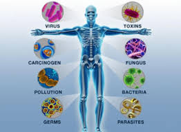 autoimmune-disease-triggers