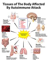 tissues-affected-autoimmune-attack