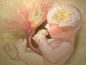 abnormal-placental-folds-signal-autism-risk-at-birth