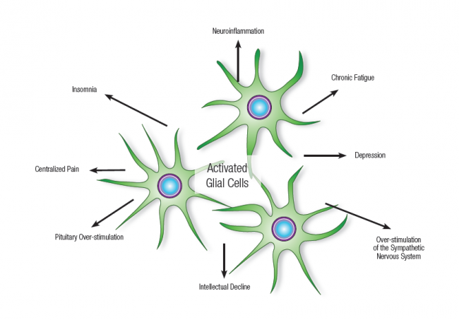 glial-cell-activation-and-neuroinflammation