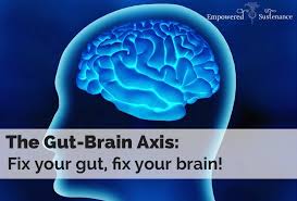 gut-brain-axis-2