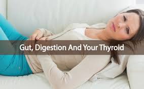 gut-digestion-thyroid