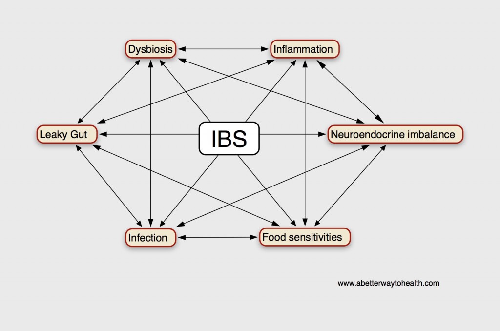 IBS-Interconnected-Causes