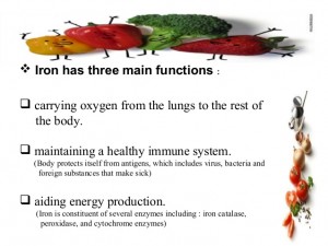 3-functions-of-iron-in-human-health