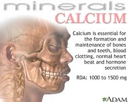 functions-of-calcium