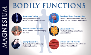 functions-of-magnesium-in-the-body