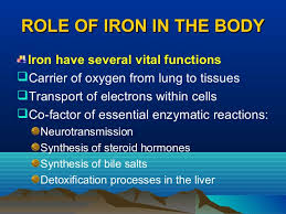 role-of-iron-in-body
