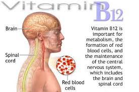 vitamin-B12-functions