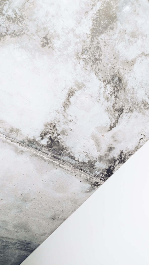 Picture of moldy ceiling